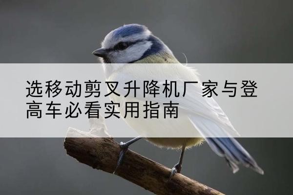 萍乡电动升降机厂家-选移动剪叉升降机厂家与登高车必看实用指南