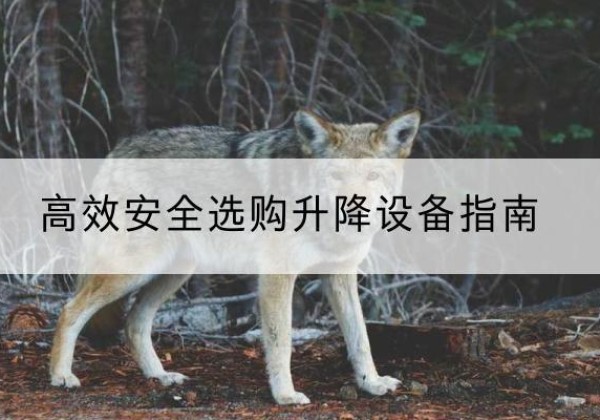 萍乡升降货梯厂家推荐-*安全选购升降设备指南