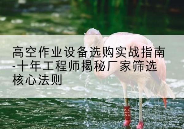 萍乡剪叉式升降机厂家-高空作业设备选购实战指南-十年工程师揭秘厂家筛选核心法则